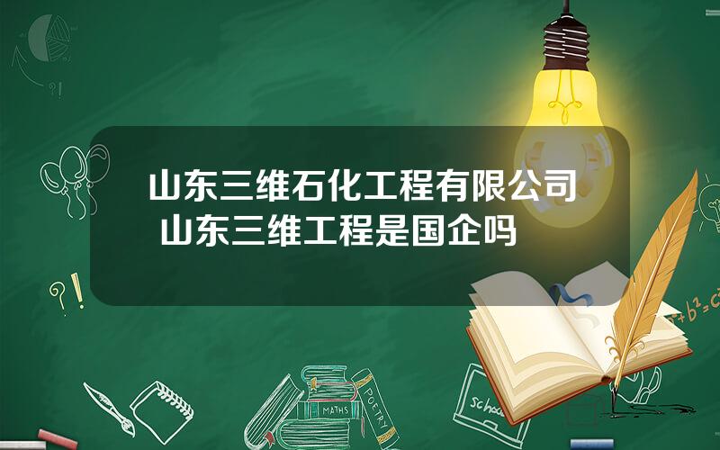 山东三维石化工程有限公司 山东三维工程是国企吗